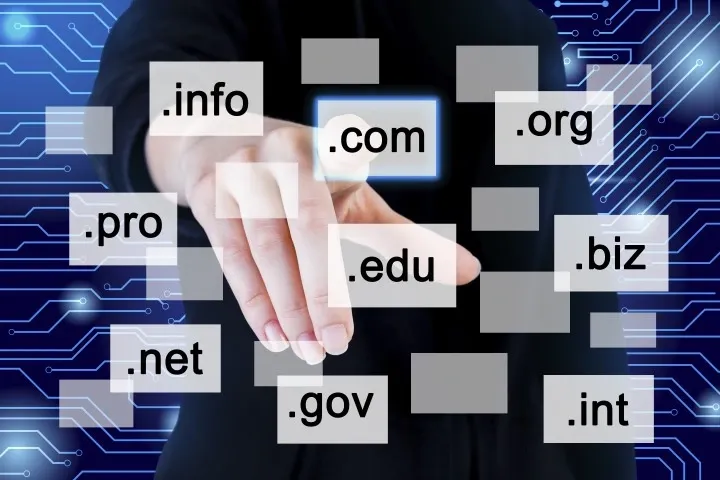 Domain Name Registration